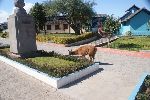 Lama am Äquatormonument Mitad del Mundo