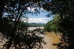 Ausblick von der Terrasse der Liana Lodge Richtung Norden auf den Río Arajuno
