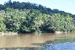 Die Liana Lodge vom anderen Flussufer (Isla Anaconda) aus gesehen.