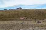 Refugio Tambopaxi<br />© U.Rieckert