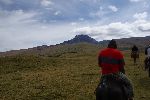 Blick auf den Vulkan Sincholahua während der Reittour über das Andenhochland