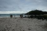 Der Strand von Puerto Chino<br />Fotografiert von C.Diaz