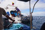 Ausschiffen in Puerto Velasco Ibarra (Floreana)<br />© T.Schwarzer