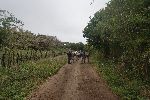 Galápagos Insel Floreana (Isla Santa María)