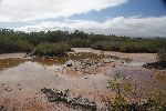Brackwasser-Lagune – dass aktuell Trockenzeit ist, ist recht offensichtlich