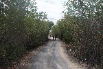 Fahrradtour auf der Isla Isabela (Galápagos Inseln)