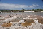 Lagune bei Puerto Villamil (Galápagos Inseln)