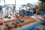 Fischmarkt von Puerto Ayora (Galápagos Inseln)