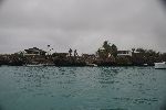 Santa Cruz (Galápagos Insel)
