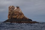 Vogelfelsen vor der Küste der Isla Isabela<br />© T.Schwarzer