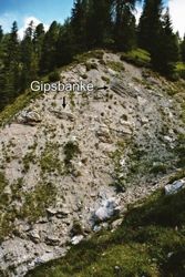 a) dicke anstehende und herausgekippte Gipslagen wechsellagern mit Dolomit- und Tonlagen (linke Bachbettseite des Aufschlusses 6)