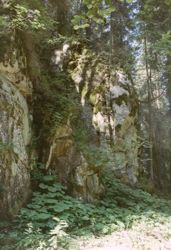 Quarzporphyr im Bacheinschnitt (Aufschluss 2)