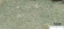 Grünlich bis grünlichgrau verwitternde Pietra Verde.