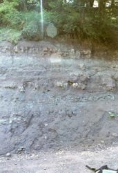 a) Wechsellagerung rötlichgrauer Sandsteine und grauer Silt-/Tonsteine (Aufschluss 3)