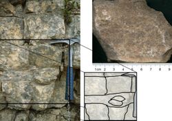 Tesero-Horizont: links: Kalksteinknollen innerhalb einer Tonmergellagen; rechts oben: Grainstone (Aufschluss 8)