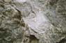 Film 3 Bild 17: 1. Aufschluss, Ort: Getambe bei Kandy, Gestein: Metapelite (granatreich), Highland Komplex, Struktur: sheat-folts