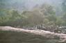 Film 10 Bild 20: Panorama (1/3), Wasserfall bei Ratnapura, um 180° gedreht gegenüber F.10 B.15