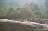 Film 10 Bild 20: Panorama (1/3), Wasserfall bei Ratnapura, um 180° gedreht gegenüber F.10 B.15 Film 10 Bild 20: Panorama (1/3), Wasserfall bei Ratnapura, um 180° gedreht gegenüber F.10 B.15