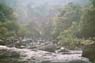 Film 10 Bild 21: Panorama (2/3), Wasserfall bei Ratnapura, um 180° gedreht gegenüber F.10 B.15