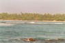 Film 11 Bild 3: Panorama (3/3), der Strand von Unawatuna
