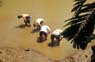 Photo-CD-Kategorie: Pit-Mining; Bild 8