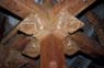 Photo-CD-Kategorie: Temple of Tooth; Bild 7