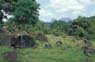 Photo-CD-Kategorie: Landschaft; Bild 3