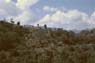 Photo-CD-Kategorie: Landschaft; Bild 24