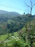 Photo-CD-Kategorie: Landschaft; Bild 70
