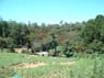 Photo-CD-Kategorie: Landschaft; Bild 85