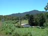 Photo-CD-Kategorie: Landschaft; Bild 86