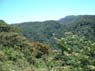 Photo-CD-Kategorie: Landschaft; Bild 90