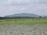 Photo-CD-Kategorie: Naturschutzpark; Bild 3