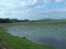 Photo-CD-Kategorie: Naturschutzpark; Bild 13