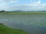 Photo-CD-Kategorie: Naturschutzpark; Bild 14