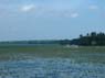 Photo-CD-Kategorie: Naturschutzpark; Bild 17