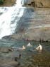 Photo-CD-Kategorie: Wasserfall 1; Bild 9