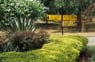 Photo-CD-Kategorie: Botanischergarten Kandy; Bild 1