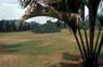Photo-CD-Kategorie: Botanischergarten Kandy; Bild 5
