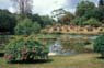 Photo-CD-Kategorie: Botanischergarten Kandy; Bild 6