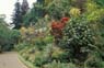 Photo-CD-Kategorie: Botanischergarten Kandy; Bild 8