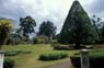 Photo-CD-Kategorie: Botanischergarten Kandy; Bild 16