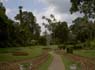 Photo-CD-Kategorie: Botanischergarten Kandy; Bild 41