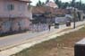 Photo-CD-Kategorie: Galle; Bild 11