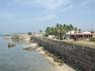 Photo-CD-Kategorie: Galle; Bild 14