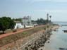 Photo-CD-Kategorie: Galle; Bild 15