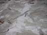 Photo-CD-Kategorie: Charnockite; Bild 3