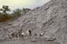 Photo-CD-Kategorie: Charnockite; Bild 5