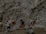 Photo-CD-Kategorie: Charnockite; Bild 8