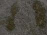 Photo-CD-Kategorie: Charnockite; Bild 9